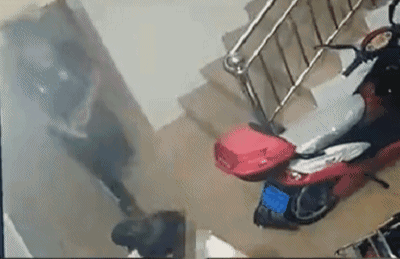 c1.gif